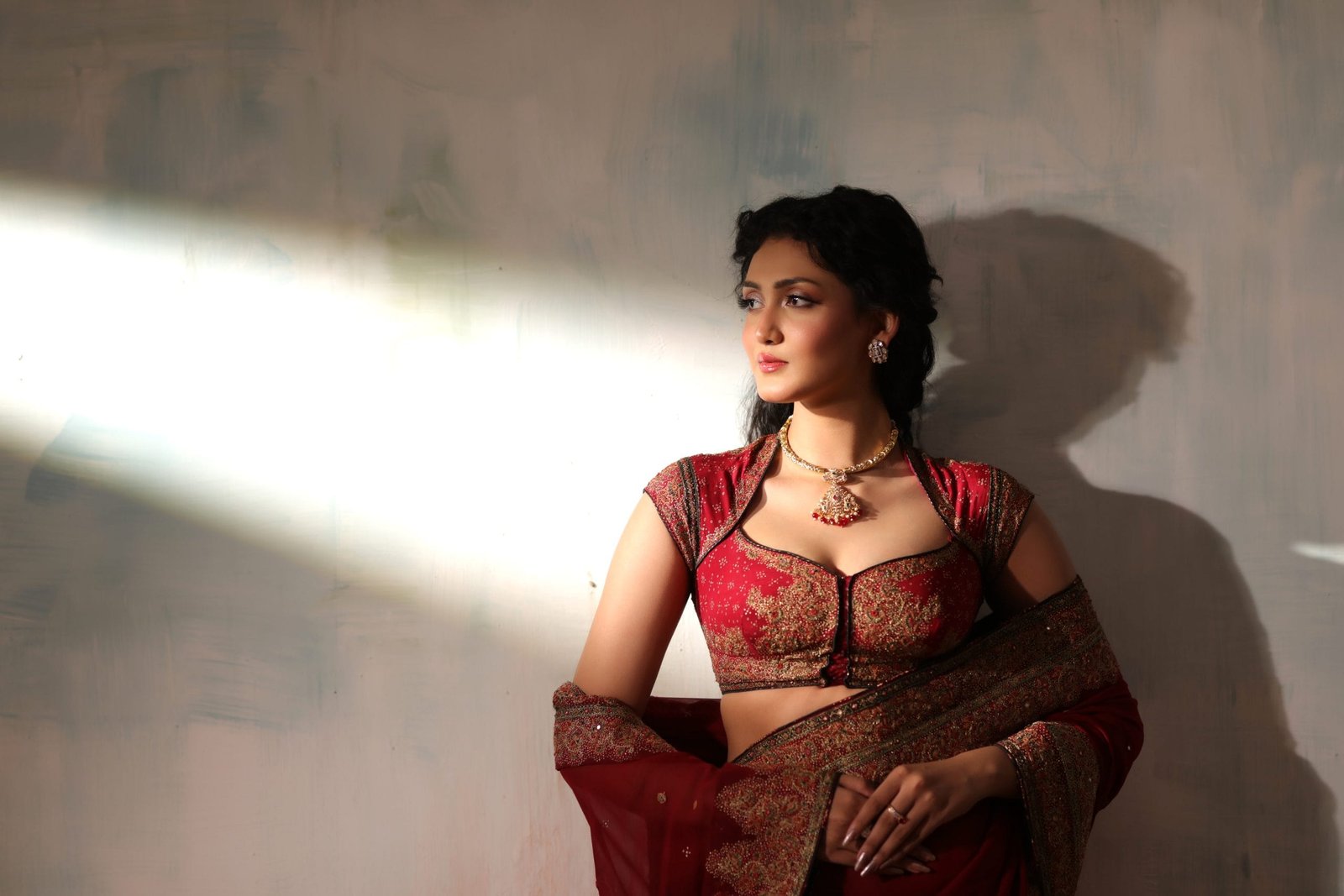 Classic Chiffon Hand Embroidered Mirror and Zardosi Work Saree - Image 10